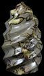 Polished Septarian Twist Sculpture - lbs #59940-1